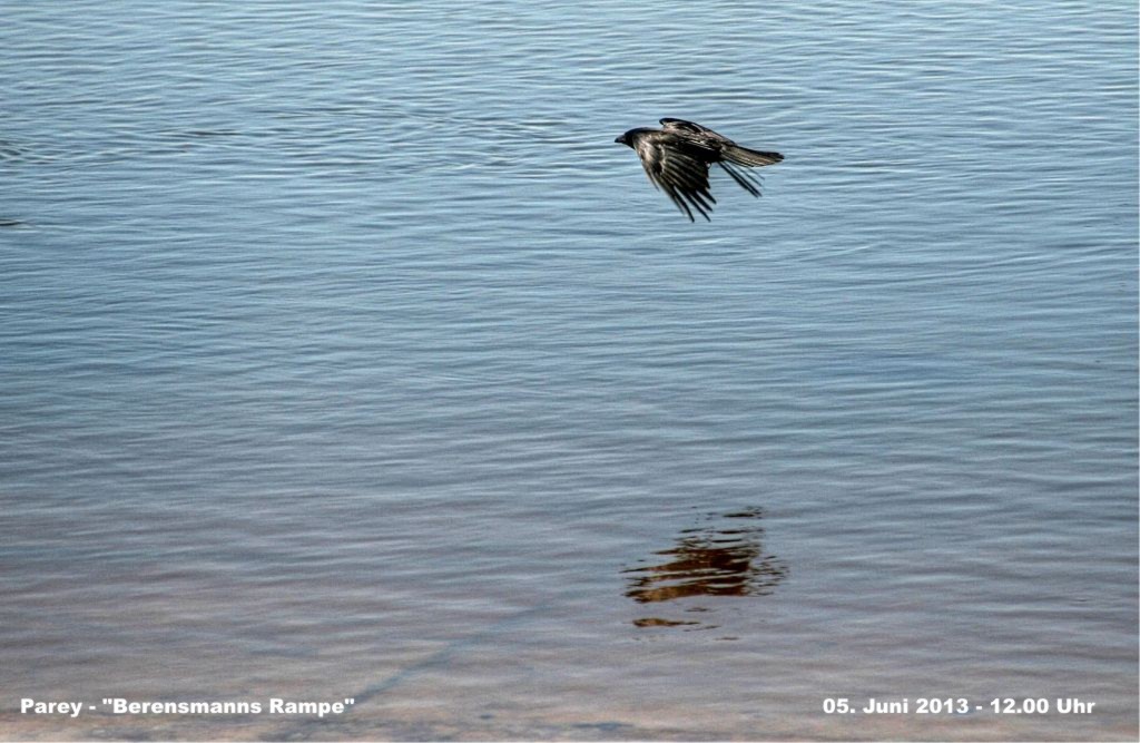 Hochwasser- 2013_06_05-006-Parey.jpg